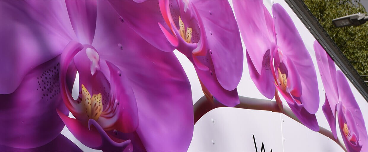 vinil uv vinil uv